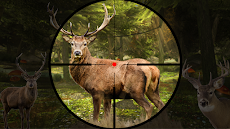 Animal Sniper Huntのおすすめ画像3
