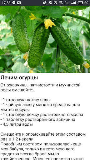 САД Огород Дача Полезные совет Screen 3