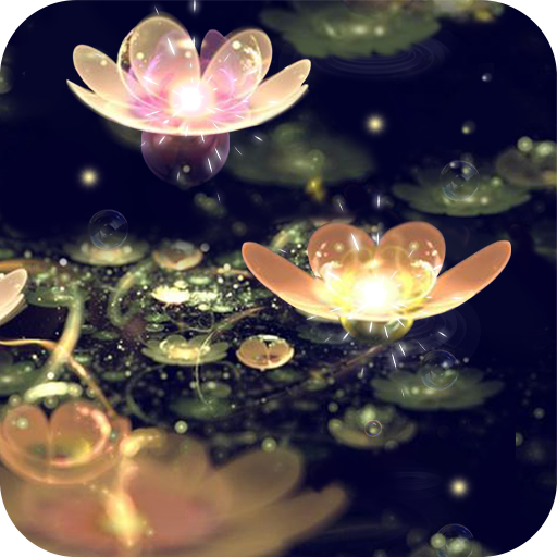 Lotus Lantern Live Wallpaper Auf Windows herunterladen
