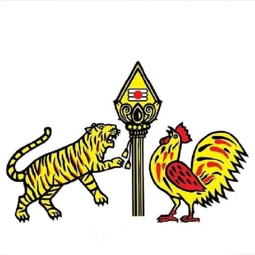 Sengunthar Kaikolar History logo