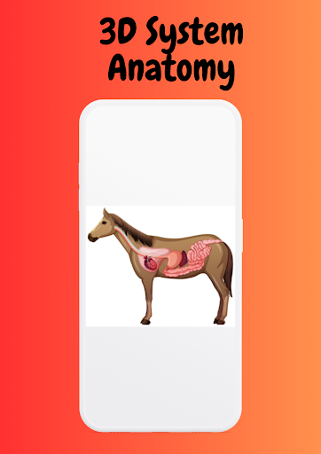 Horse Anatomy - 3D Horse Screen 3