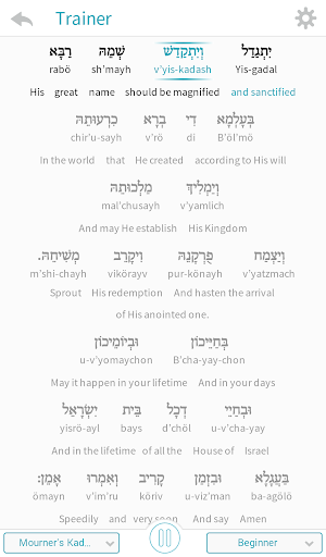 Screenshot of Kaddish Assistant
