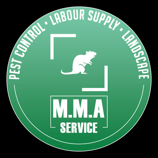 MMA Service  Icon