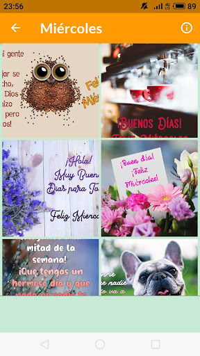 Saludos Días de la Semana Screen 3