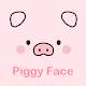 Piggy Face Theme +HOME
