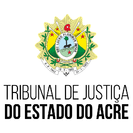TJAC - Consulta Processual Screen 2