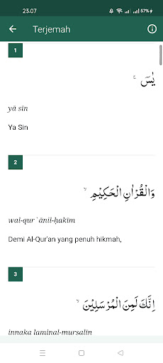 Surat Yasin dan Tahlil Lengkap Screen 3