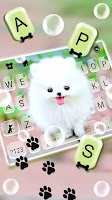 screenshot of Fluffy Cute Dog Theme