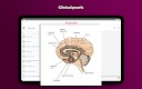 screenshot of PsychNotes: Clinical Pkt Guide