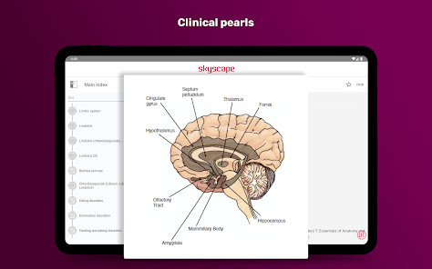 Captura 20 PsychNotes: Clinical Pkt Guide android