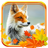 Autumn Sly Fox LWP icon