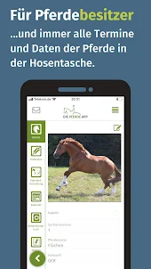 Die Pferde App