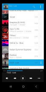 Avee Music Player Pro Mod APK 1.2.101 (Premium Unlocked) 3