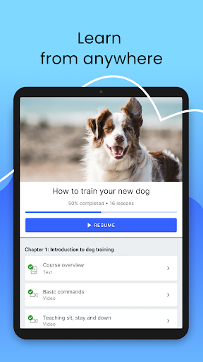 Screenshot of Thinkific