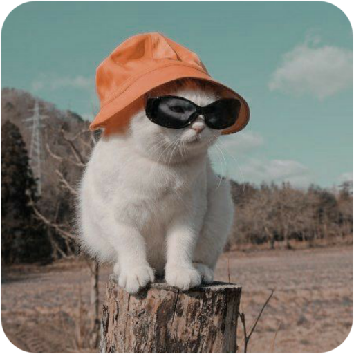 Aesthetic Wallpaper - Cute HD logo