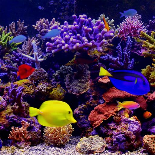 Amazing Aquariums In HD 3.2 Icon