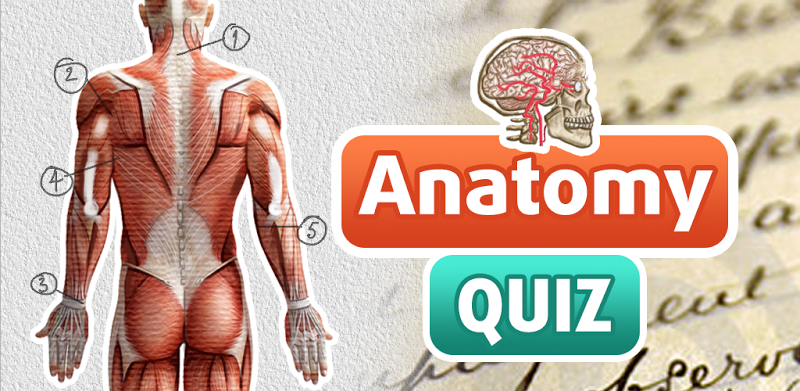 Anatomie Test