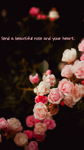 Android application Rose Gift screenshort