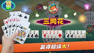 Game screenshot Chinese Poker 十三水 Zingplay apk download