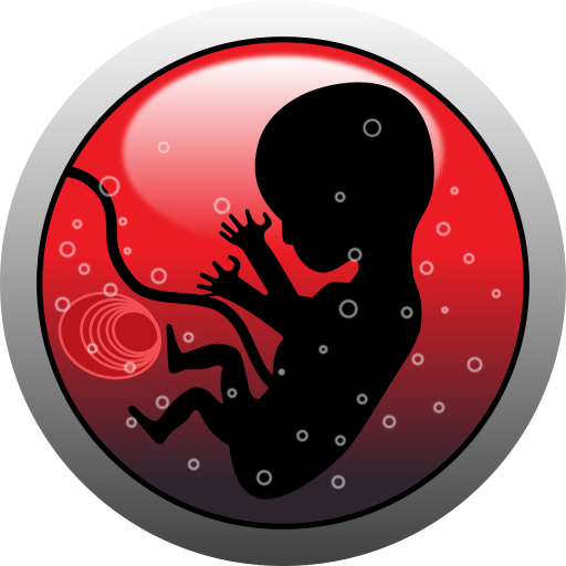 Control de Embarazo logo