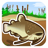 Cat fish Fry Fishing icon