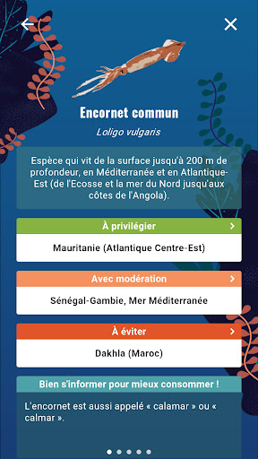 Ethic Ocean Screen 3