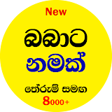 බබාට නමක් | Sinhala Baby Names | Babata Namak icon