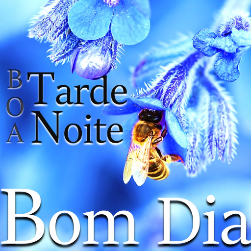 Portuguese Morning until Night logo