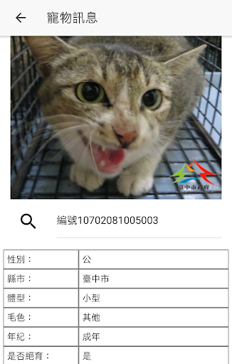 我愛毛小孩 Screen 2