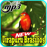 Cantos de Uirapuru Brasilerios Mp3 icon
