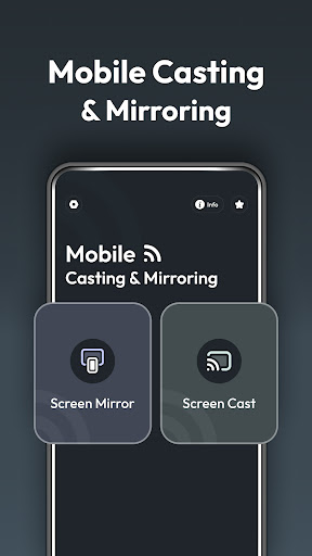 Screenshot of Mobile Casting & Mirroring