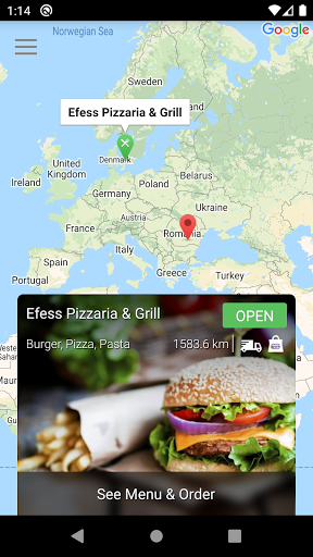 Efess Pizzaria & Grill Screen 2