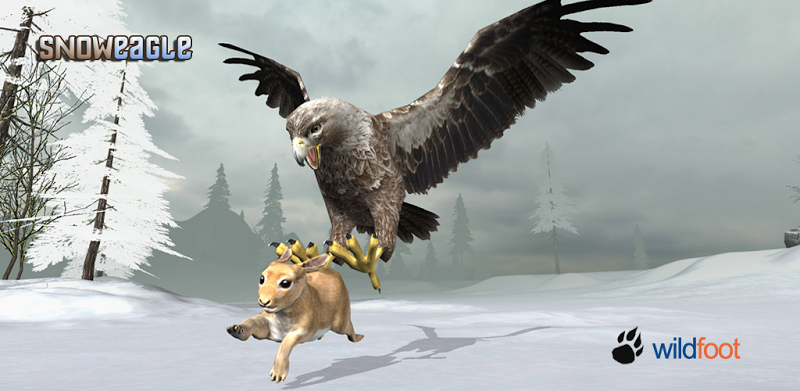 Snow Eagle 3D Sim
