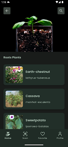 PlantHouse: Identifier & Info Screen 2