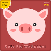 4k Cute Pig Wallpapers