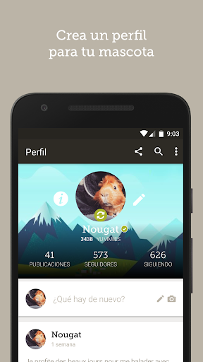 Vista previa de la aplicación