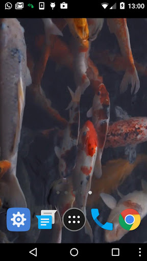 koi fish video wallpaper Screen 2