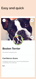 Dog Breed Identifier Apk For Android Latest version 4