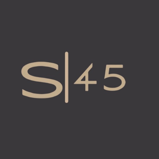 Salon 45 logo