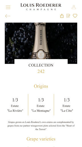 Louis Roederer Champagne Screen 3
