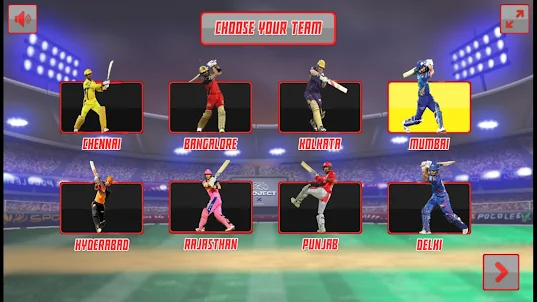 IPL T20 Legend Cricket