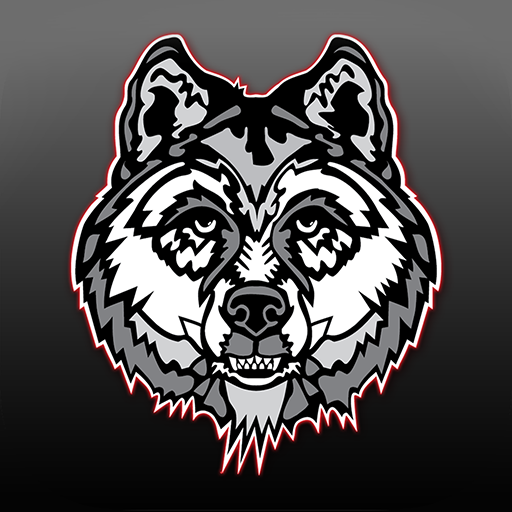 Lone Wolf Undercover logo