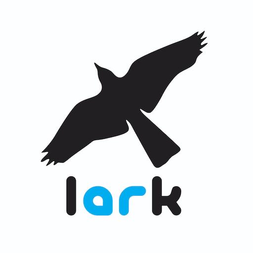 Lark AR logo