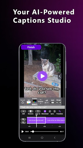 Captions For Video Subtitles