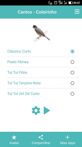 Android application Cantos do Pássaro Coleirinho screenshort