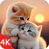 Cute Cat Wallpaper Live HD 4K icon