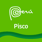 Pisco  Icon
