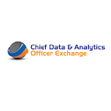 Chief Data Analytics Off. Ex. icon