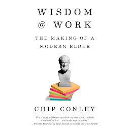 Icon image Wisdom at Work: The Making of a Modern Elder