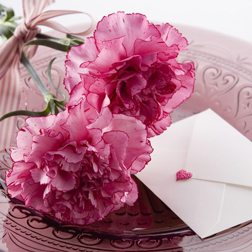 Carnation for Mum - Wallpapers logo